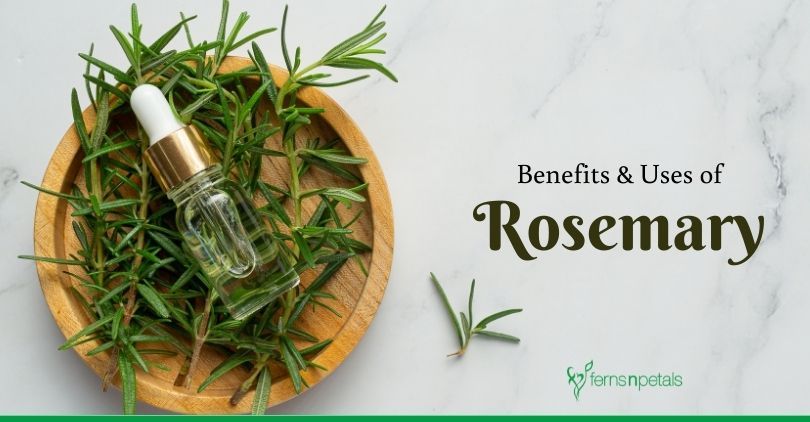 How to Use Rosemary in Different Ways